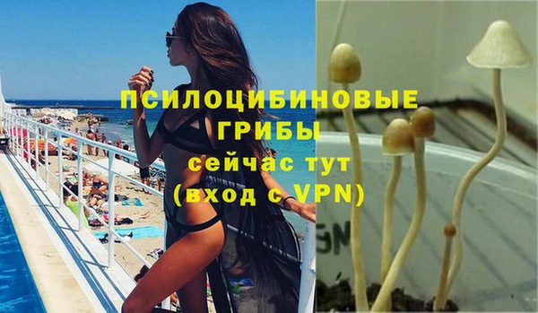 экстази Алексеевка