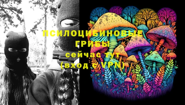 ALPHA PVP Алексин